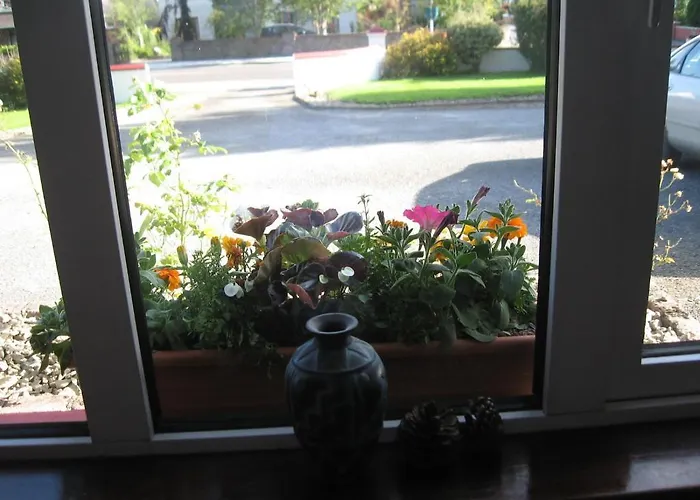 Woodlawn House בית הארחה 3*