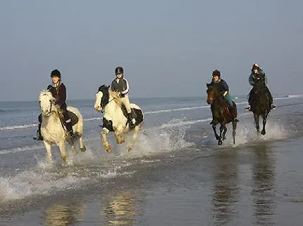 Woodlawn House 3* קיל איירן