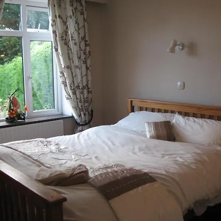 Woodlawn House Konukevi Killarney
